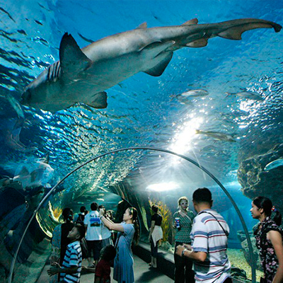 DENİZ YAŞAMI Bangkok Ocean World Giriş Bilet